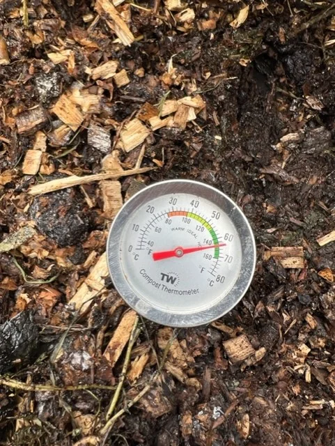 thermometer in the garden