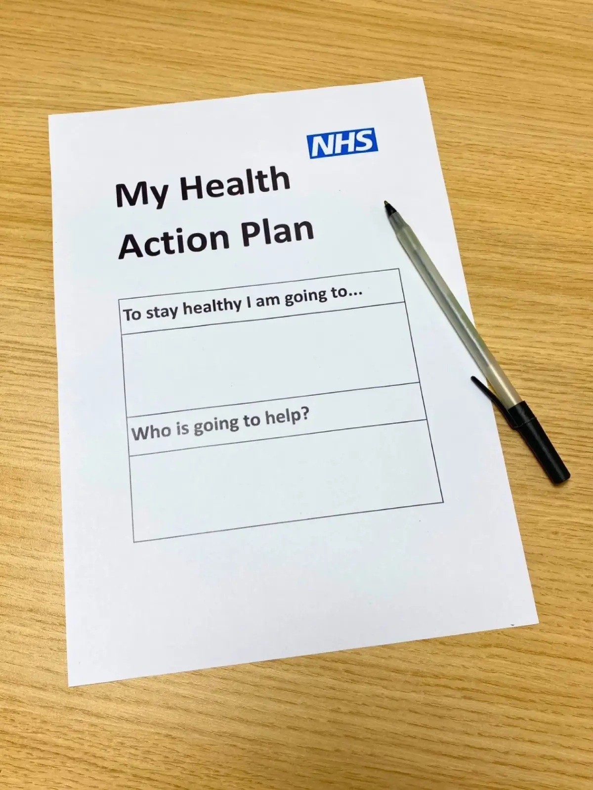 Health Action Plan